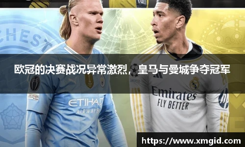 MK体育