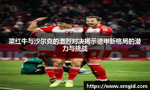 菜红牛与沙尔克的激烈对决揭示德甲新格局的潜力与挑战
