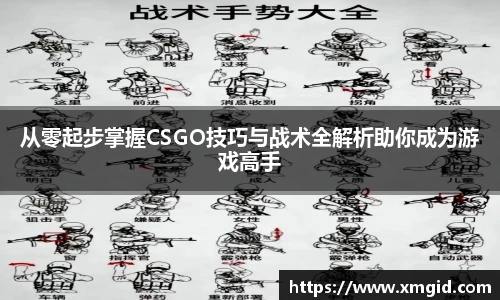 EMC易倍体育官方入口